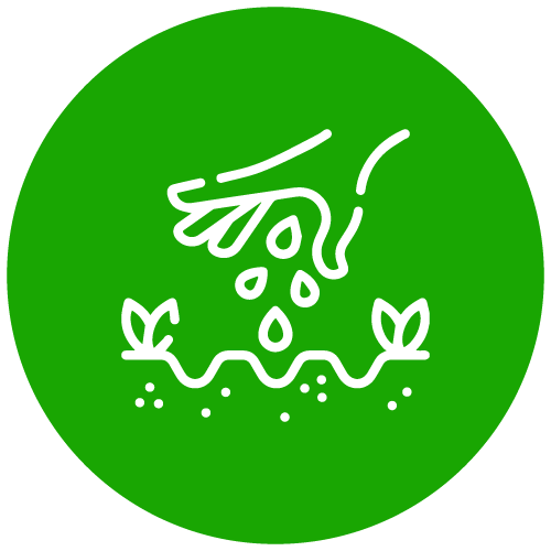 Lawn care and landscape maintenance services in Fort Worth
